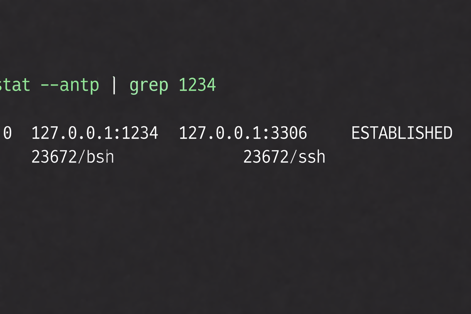 netstat netstat